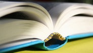 Aufgeschlagenes Buch © Fotolia.com Foto: Antje Lindert-Rottke