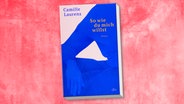 Buch-Cover: Camille Laurens - So wie du mich willst © dtv 