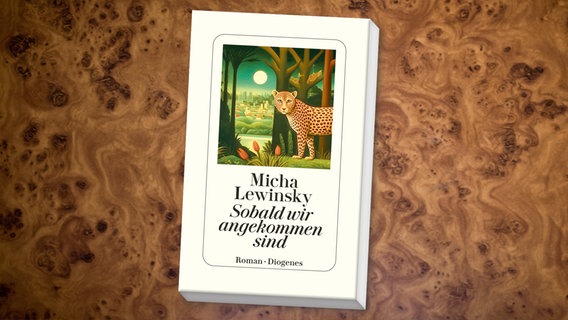Cover: Micha Lewinsky, "Sobald wir angekommen sind" © Diogenes 