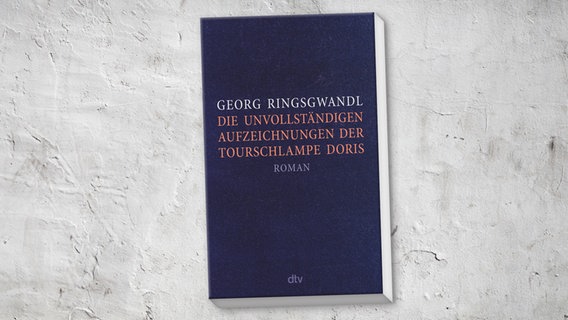 Buch-Cover: Georg Ringsgwandl - Die unvollständigen Aufzeichnungen der Tourschlampe Doris © dtv 