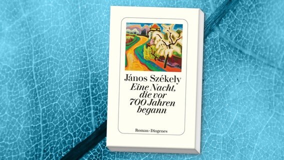 Cover: János Székely - Eine Nacht, die vor 700 Jahren begann © Diogenes Verlag 
