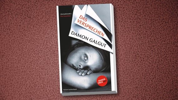 Damon Galgut: "Das Versprechen" (Cover) © Luchterhand 