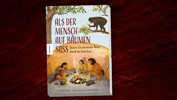 Buchtipps Fur Kinder Wissen Spannend Aufbereitet Ndr De Kultur Buch