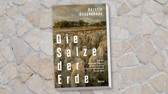 Das Cover des Buches "Die Salze der Erde" © Hanser 