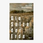 Das Cover des Buches "Die Salze der Erde" © Hanser 