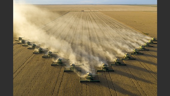 Abbildung aus dem Bildband "Feed the Planet": Luftaufnahme von mehreren Mähdreschern auf einem Getreidefeld © George Steinmetz/Knesebeck Verlag Foto: George Steinmetz