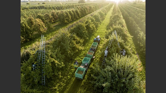 Abbildung aus dem Bildband "Feed the Planet": Luftaufnahme von einem Traktor mit vier Anhängern auf einer Plantage © George Steinmetz/Knesebeck Verlag Foto: George Steinmetz