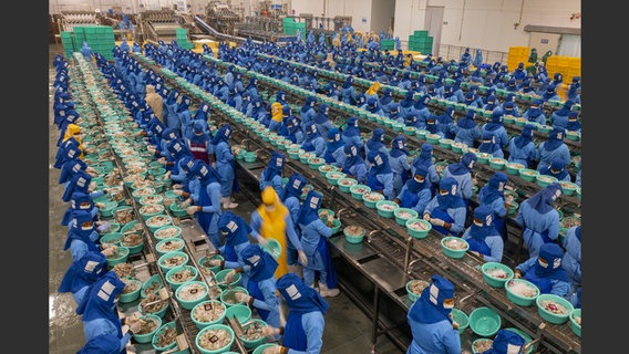 Abbildung aus dem Bildband "Feed the Planet": Menschen in blauen Anzügen arbeiten in einer Halle © George Steinmetz/Knesebeck Verlag Foto: George Steinmetz