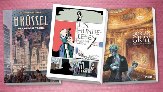 Cover: "Ein Hundeleben" von Matthias Arégui und "Dorian Gray" von Enrique Corominas und "Brüssel - Der große Traum" von François Schuiten und Benoît Peeters © Edition Moderne, Splitter, Schreiber & Leser 