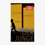 Cover: Fernando Aramburu, "Der Junge" © Rowohlt 