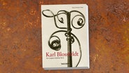 Cover: Karl Blossfeldt: The complete published work © taschen 