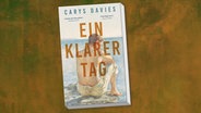 Buchcover: Carys Davies, "Ein klarer Tag" © Luchterhand Verlag 