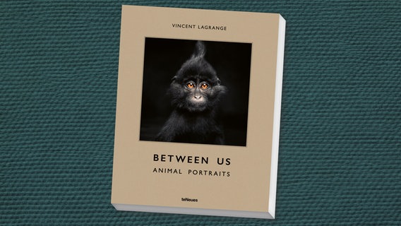 Cover: Between us animal portraits © teNeues 