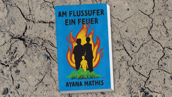 Cover: Ayana Mathis, "Am Flussufer ein Feuer" © dtv 