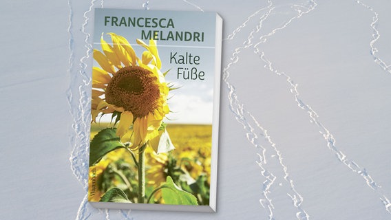 Cover: "Kalte Füße" von Francesca Melandri © Verlag Klaus Wagenbach 