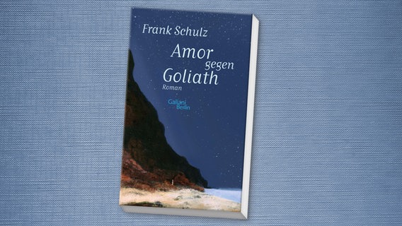 Cover: Frank Schulz, "Amor gegen Goliath" © Gailani Verlag 