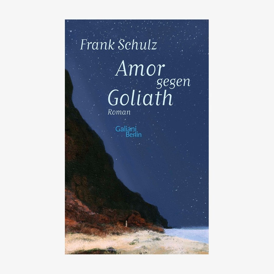 Neue Bücher: "Amor gegen Goliath" von Frank Schulz