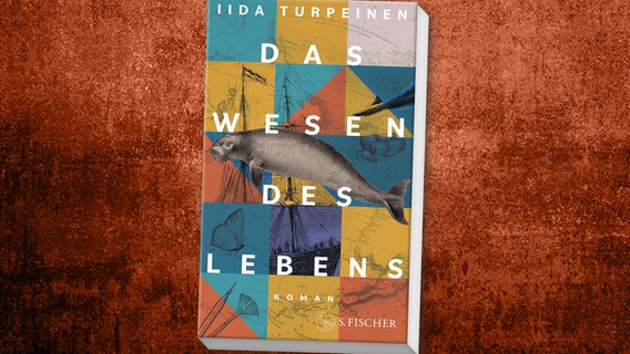 Buch-Cover: "Das Wesen des Lebens" von Iida Turpeinen © S. Fischer Verlag 