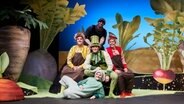 Fünf Personen verkleidet als Hasen, Igel und Maulwurf auf der Bühne des Ohnsorg Theaters © Ohnsorg Theater / Oliver Fantitsch Foto: Oliver Fantitsch