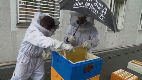 Zwei Menschen in Imkeranzügen und einem schwarzen Schirm stehen vor einem Bienenvolk. © NDR Screenshot Foto: NDR Screenshot
