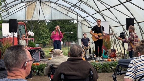 Die Band Norma spielt vor Publikum in einem Gewächshaus. © NDR Foto: Tom Holste