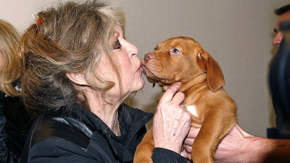 Brigitte Bardot hält einen Hundewelpen auf dem Arm © picture-alliance/ dpa | Abaca 89170 