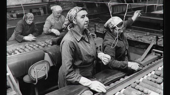 Schwarz-Weiß-Bild von Frauen bei der Arbeit in einer Fabrik © NDR Screenshot 