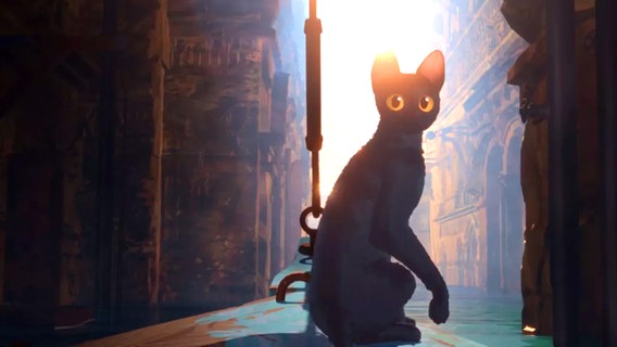 Eine schwarze Katze mit großen gelben Augen sitzt auf einer Straße - Szene aus dem Animationsfilm "Flow" © Sacrebleu Productions, Dream Well Studio, Take Five 