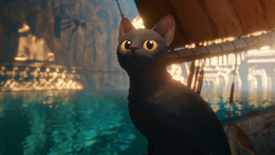 Eine schwarze Katze mit großen gelben Augen sitzt auf einer Straße - Szene aus dem Animationsfilm "Flow" © Sacrebleu Productions, Dream Well Studio, Take Five 