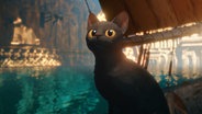 Eine schwarze Katze mit großen gelben Augen sitzt auf einer Straße - Szene aus dem Animationsfilm "Flow" © Sacrebleu Productions, Dream Well Studio, Take Five 