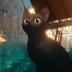 Eine schwarze Katze mit großen gelben Augen sitzt auf einer Straße - Szene aus dem Animationsfilm "Flow" © Sacrebleu Productions, Dream Well Studio, Take Five 