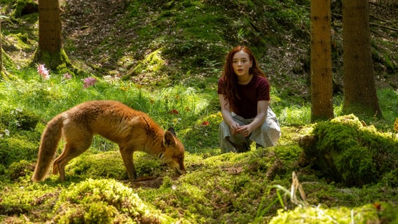 Ein rothaarigees Mädchen und ein Fucht auf einer Lichtung im Wald. © 2024 SamFilm GmbH/Constantin Film Verleih Foto: Stefanie Leo