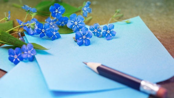 Ein blauer Bleistift liegt auf einigen blauen Blättern Papier. Davor liegen Vergissmeinnicht. © Gedichte_photocase_margie 