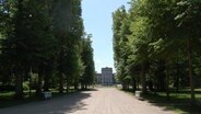 Das Schloss Ludwigslust hinter einer Allee aus Bäumen © NDR Foto: Karin Erichsen