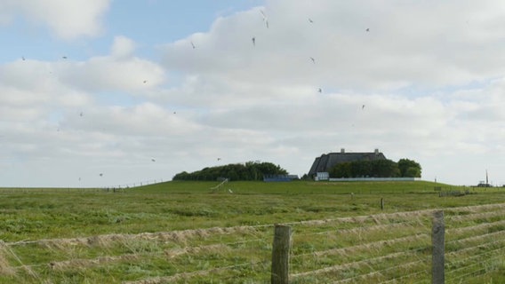 Ein Haus auf einer Hallig © NDR Screenshot 