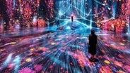 Ein großer Raum, bei dem die Wände Kunstwerke sind und bunt leuchten. © Digital Art Museum Hamburg Foto: teamLab