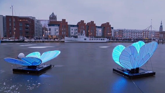 Zwei blau leuchtende Schmetterlings-Installationen im Greifswalder Hafen. © NDR.de 