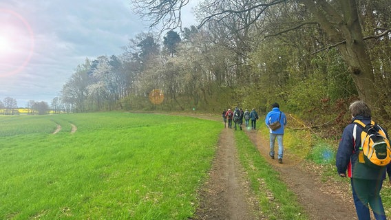 Gruppe von Wanderern gehen einen Feldweg entlang © NDR.de Foto: Juliane Voigt