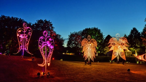 Lichtskulpturen im verdunkelten Park © Park der Gärten gGmbH 