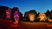 Lichtskulpturen im verdunkelten Park © Park der Gärten gGmbH 