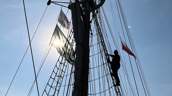 Blick hoch zum Mast. Julian Prégardien klettert in der Takelage und schaut runter. © NDR Foto: Tom Holste