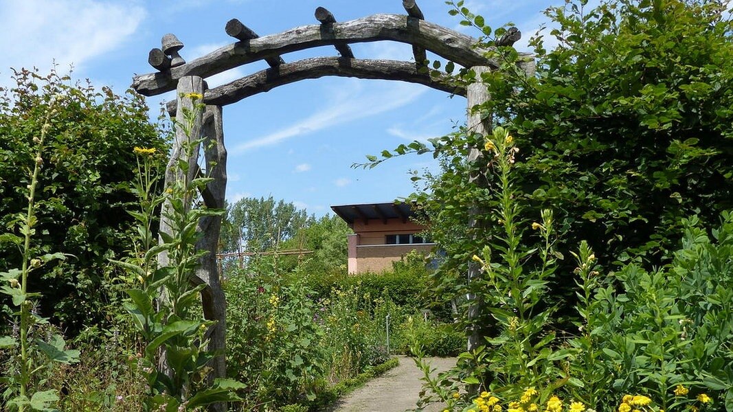 Spaziergang durch den Wangeliner Garten NDR.de Kultur