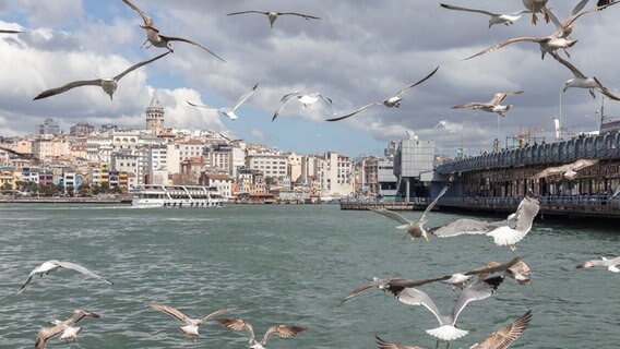 Die Silhouette von Istanbul mit dem Galataturm © Christina Grob/NDR Foto: Christina Grob