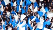 Schottische Fußball-Fans schwenken Fahnen © picture alliance/dpa/PA Wire | Steve Welsh 