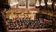 Die Wiener Philharmoniker beim Neujahrskonzert © Waldmann 