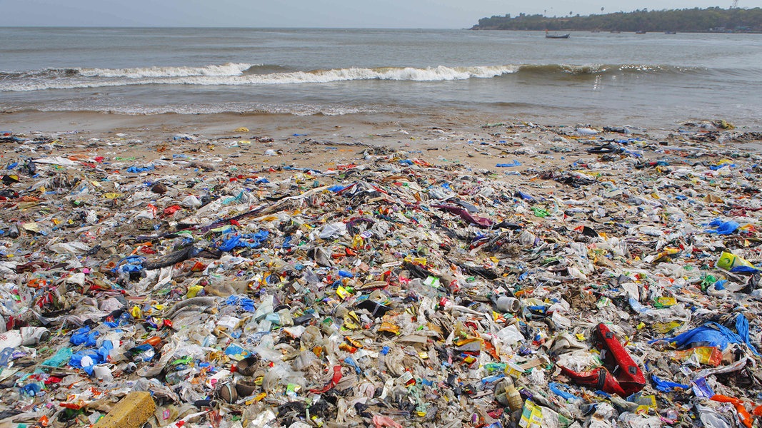 Plastikmüll Im Meer Wwf Fordert Globales Abkommen Ndrde Kultur 4872