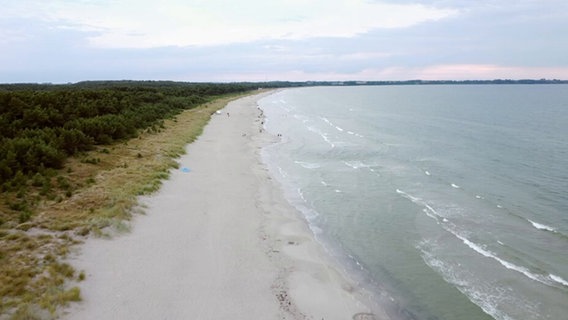 Küste von Rügen © NDR Screenshot 