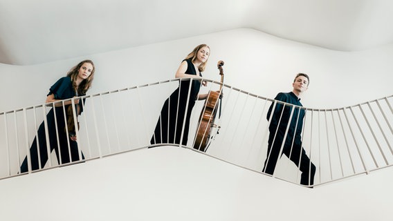 Amelio Trio © Sophia Hegewald Foto: Sophia Hegewald