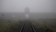 Blick auf den Eingang des Konzentrationslagers Auschwitz-Birkenau im Nebel © picture alliance / zb | Fritz Schuhmann Foto: Fritz Schuhmann