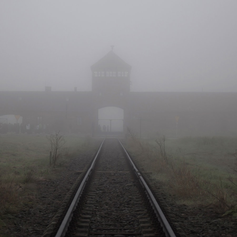 Leben, Erinnern, kein Vergessen - 80. Jahrestag der Befreiung des Vernichtungslagers Auschwitz-Birkenau